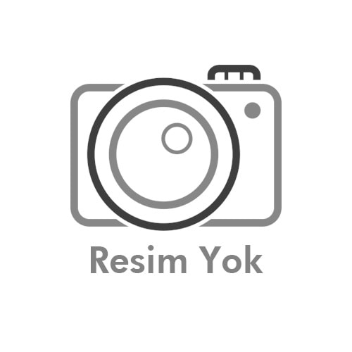 Rivo RV-1920IP 2MP 3,6mm Sesli IP Dome Kamera
